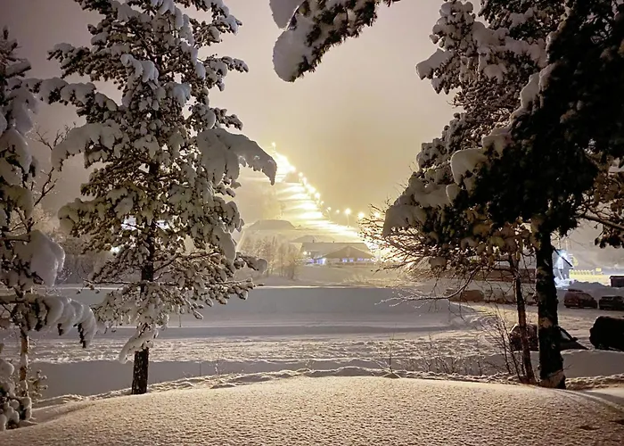 Lägenhet Gorgeous In With Wifi